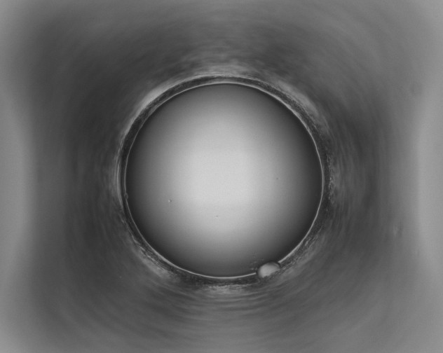 X0000113781272200909231308