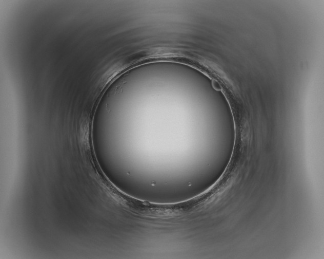 X0000113781273200909231308