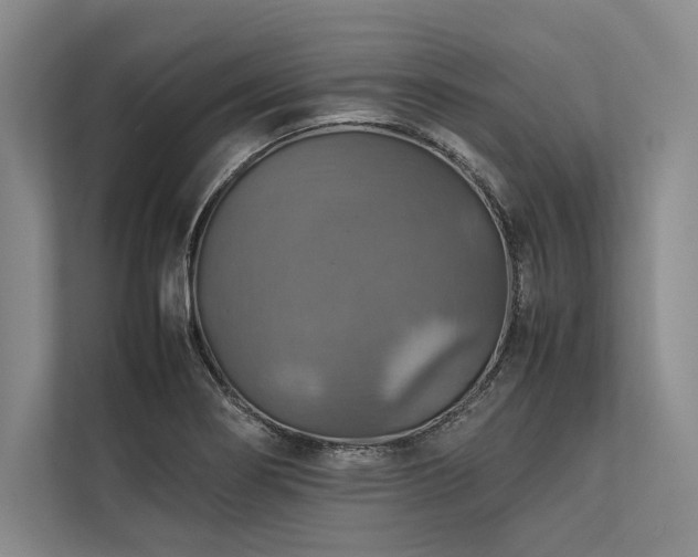 X0000113781274200909231308
