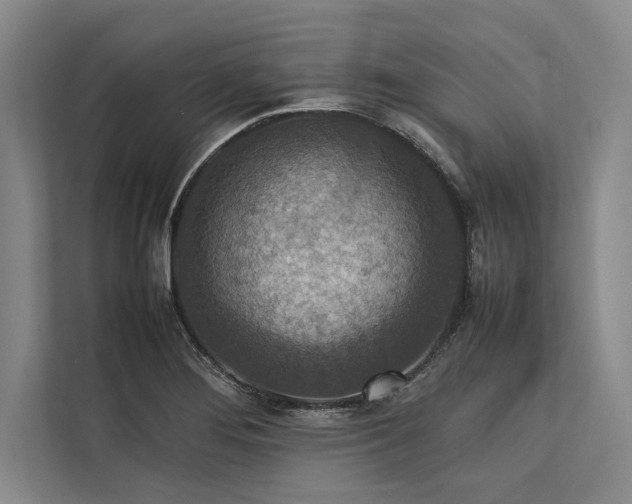 X0000113781276200909231308