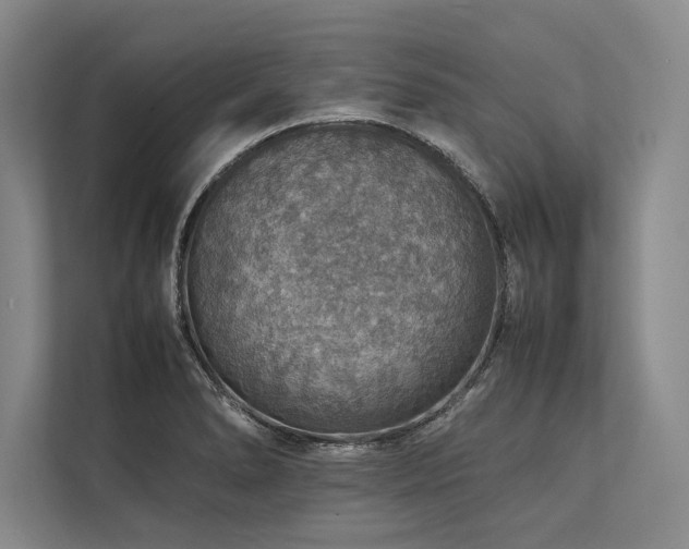 X0000113781278200909231308