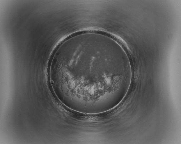 X0000113781279200909231308