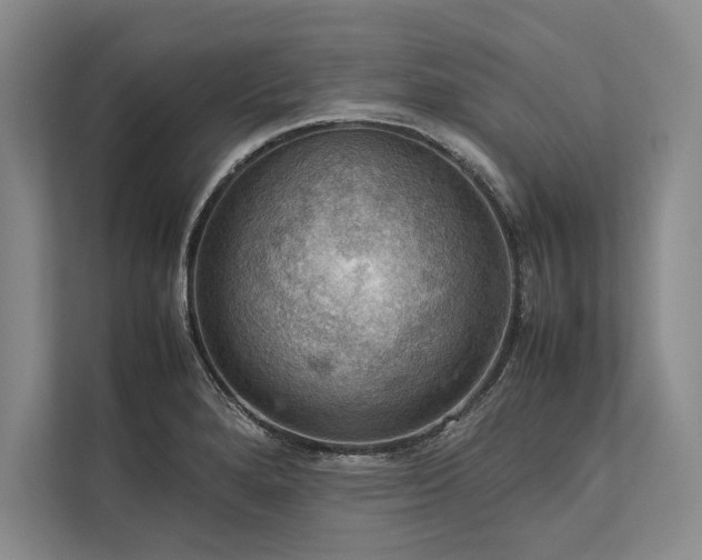 X0000113781280200909231308