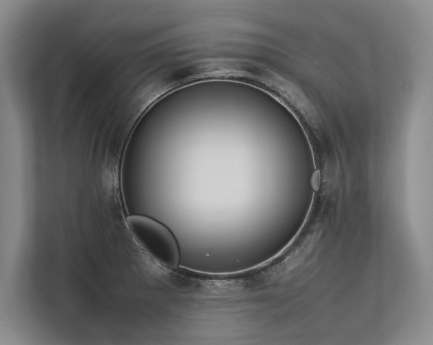 X0000113781281200909231308