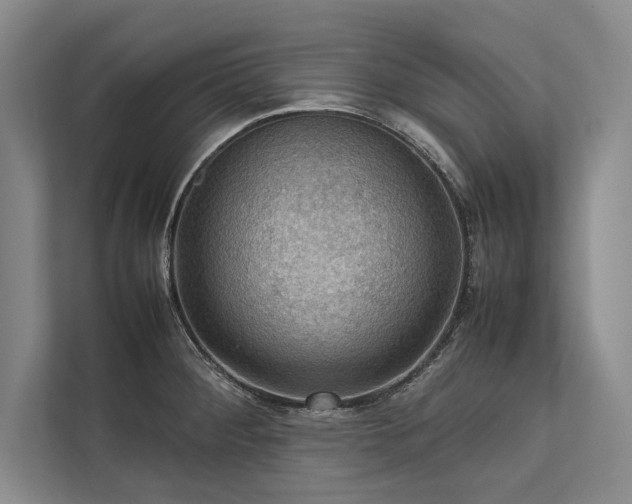 X0000113781284200909231308