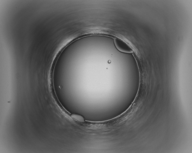 X0000113781285200909231308