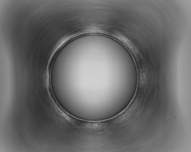 X0000113781286200909231308