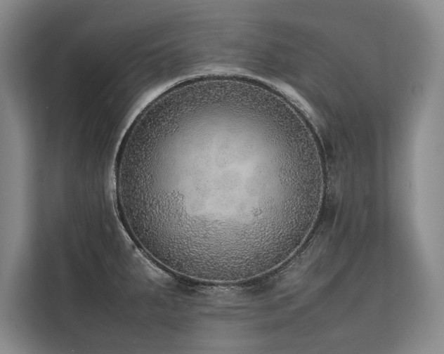 X0000113781287200909231308
