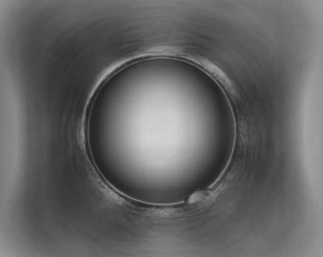 X0000113781288200909231308