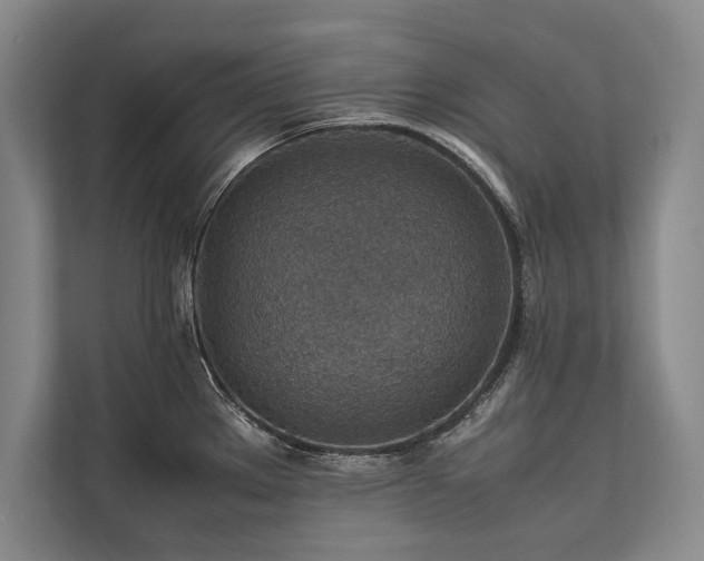 X0000113781289200909231308