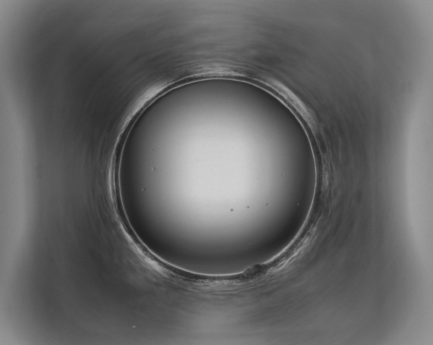 X0000113781293200909231308