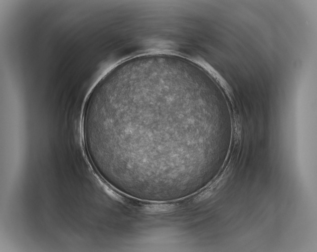 X0000113781294200909231308
