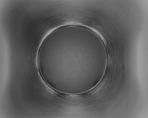 X0000113781295200909231308