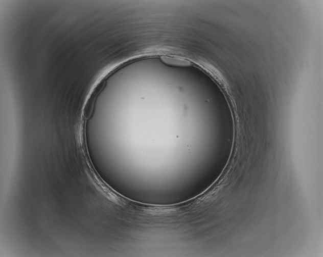 X0000113781296200909231308