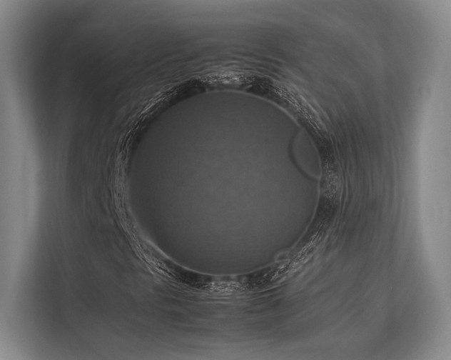 X0000113781297200909231307