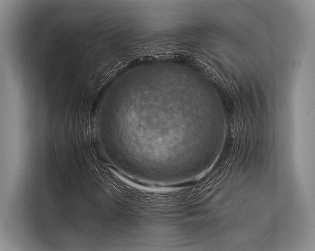 X0000113781298200909231307