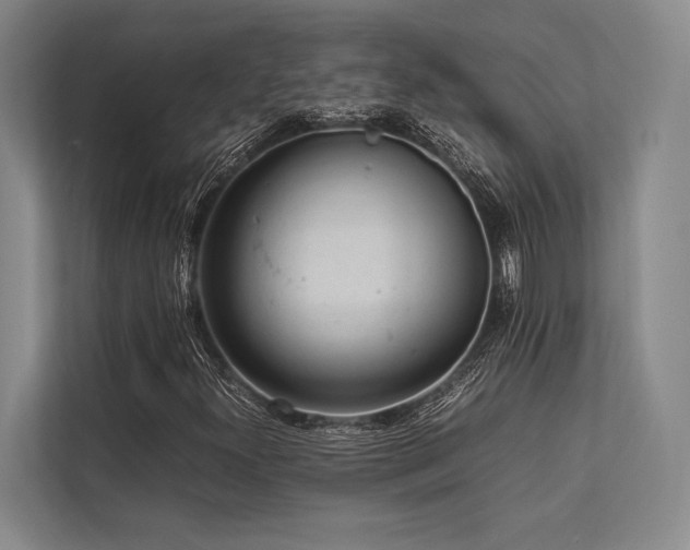 X0000113781300200909231307