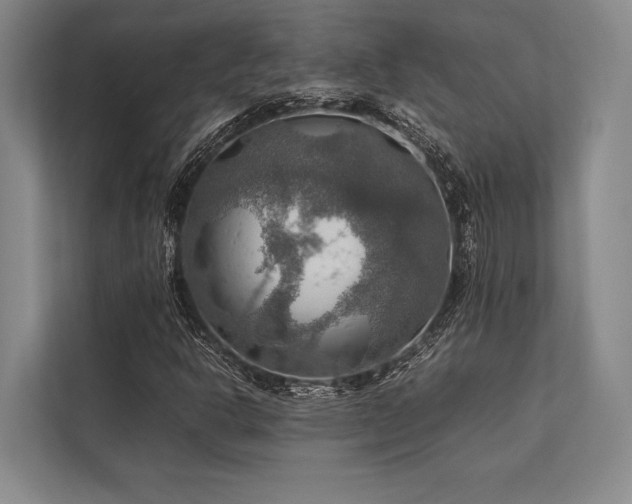 X0000113781302200909231307