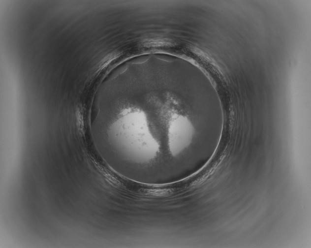 X0000113781305200909231307