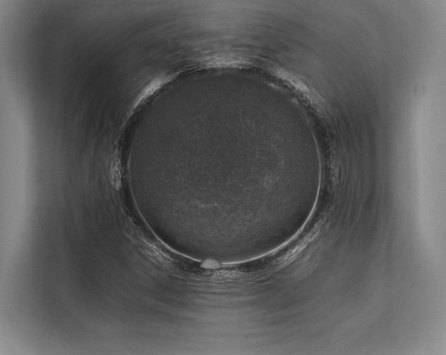 X0000113781306200909231307