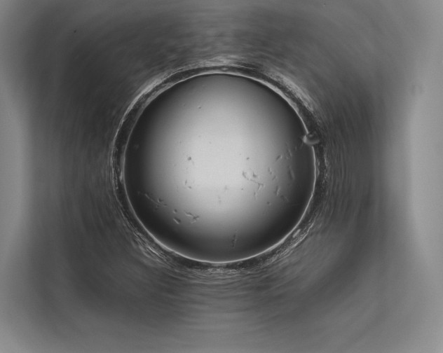 X0000113781308200909231307