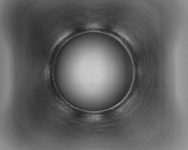 X0000113781309200909231307