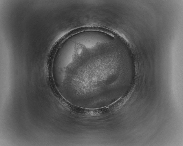 X0000113781311200909231307