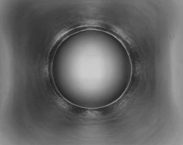 X0000113781312200909231307