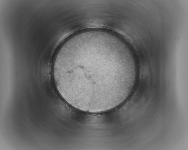 X0000113781314200909231307