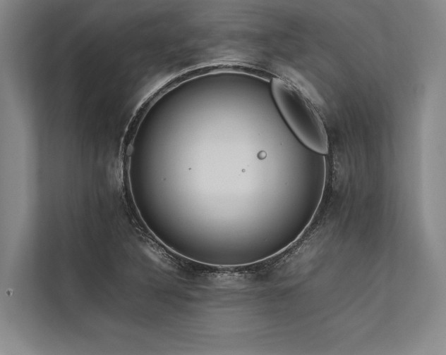 X0000113781316200909231307