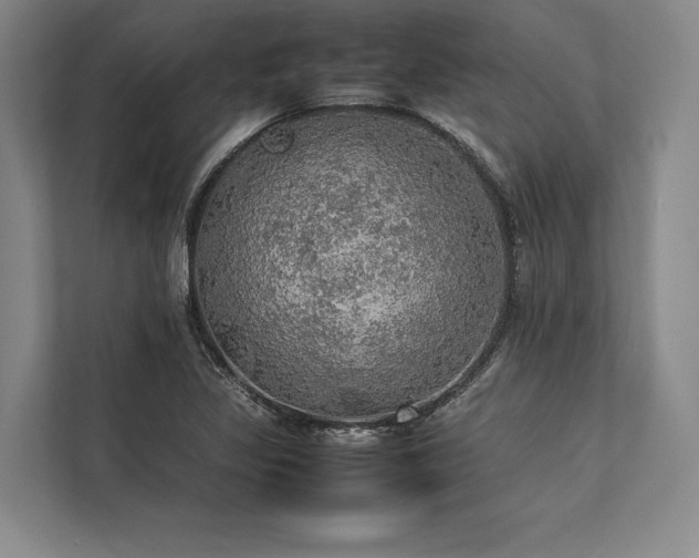 X0000113781317200909231307