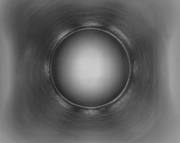 X0000113781321200909231307