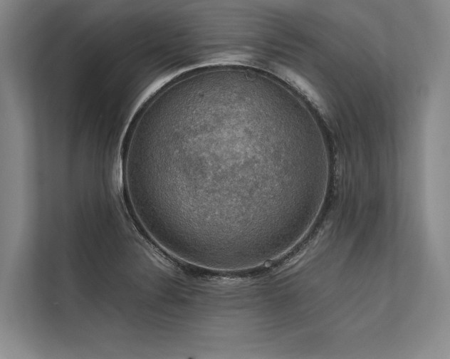 X0000113781324200909231307