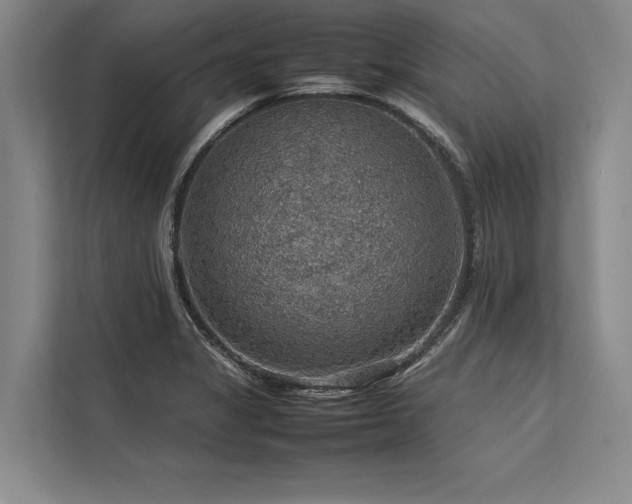 X0000113781325200909231307