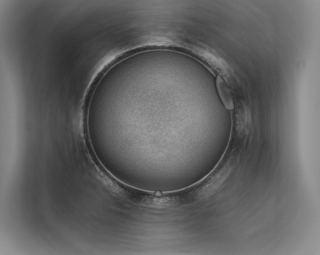 X0000113781326200909231307