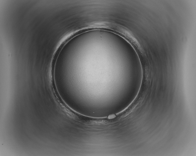 X0000113781328200909231307