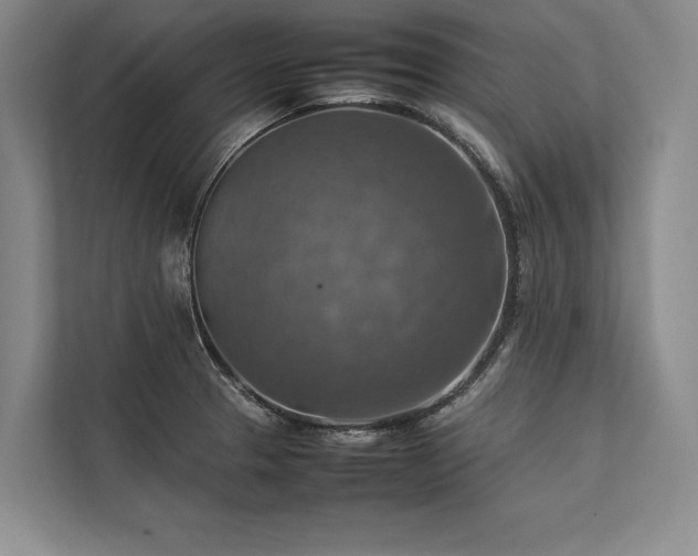 X0000113781329200909231307