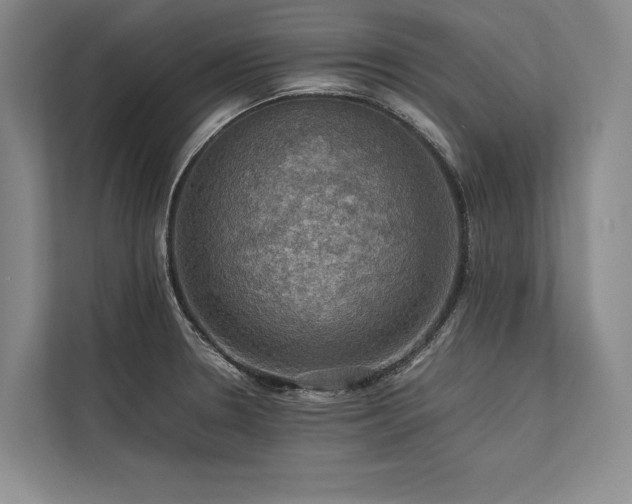 X0000113781330200909231307