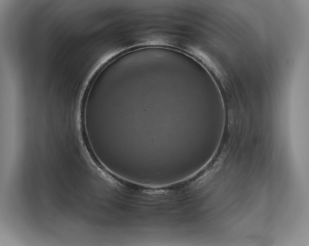 X0000113781331200909231307