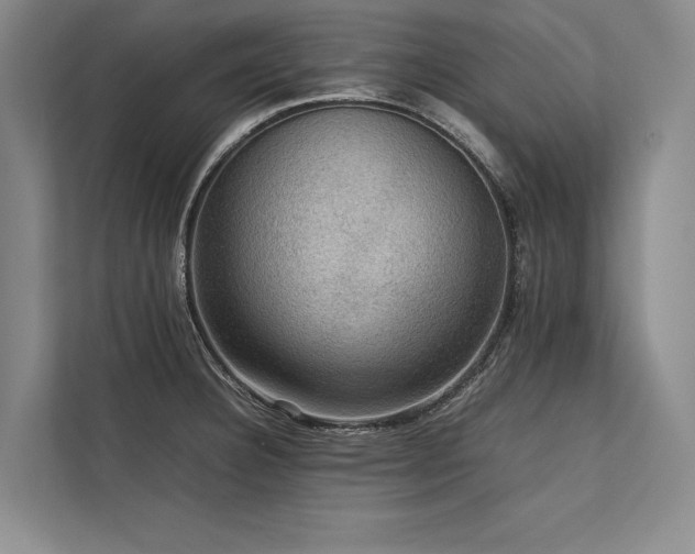 X0000113781332200909231307