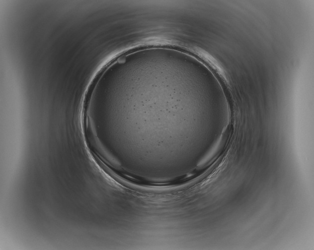 X0000113781334200909231307