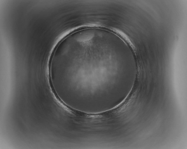 X0000113781335200909231308