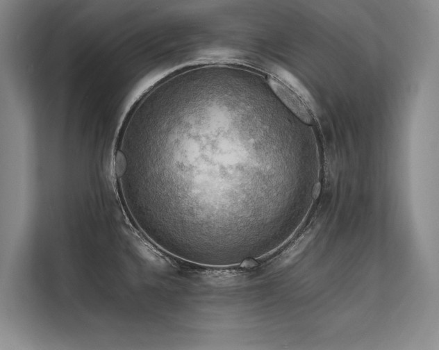 X0000113781336200909231308