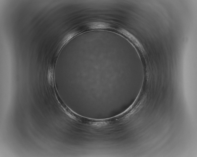 X0000113781337200909231308