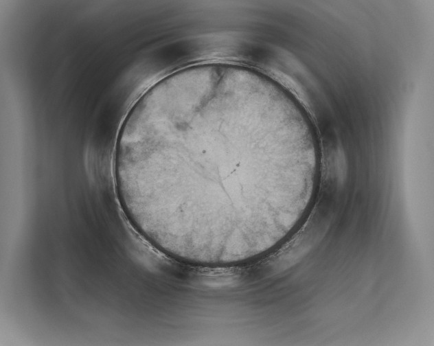 X0000113781338200909231308