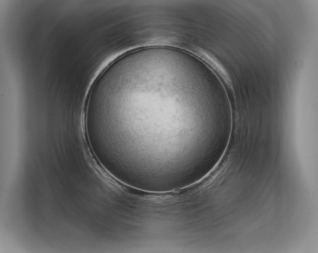 X0000113781340200909231308