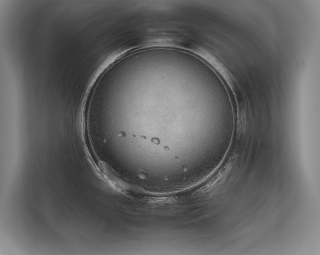 X0000113781341200909231308