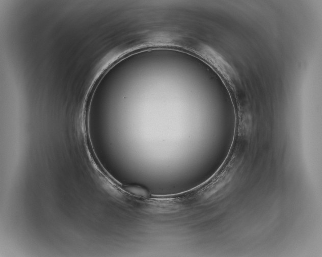X0000113781342200909231308
