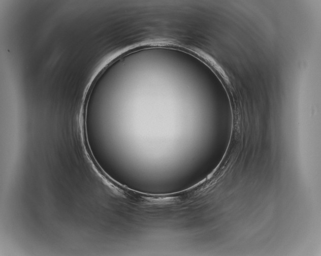 X0000113781343200909231308