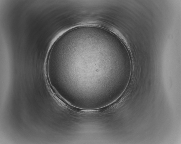 X0000113781344200909231308